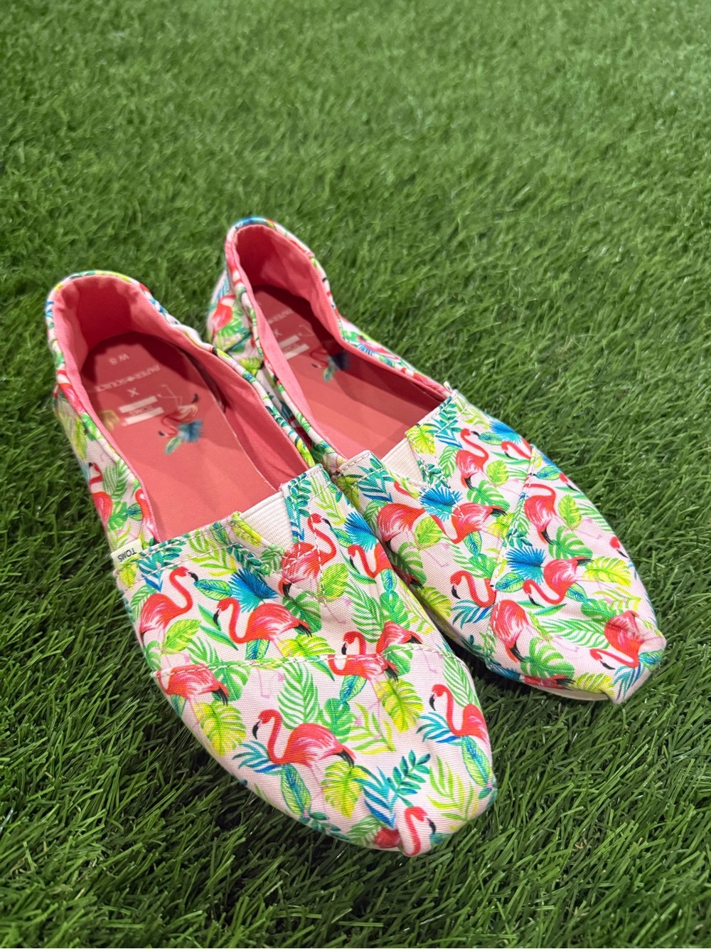 Tom’s with Paper Source Flamingo Shoes